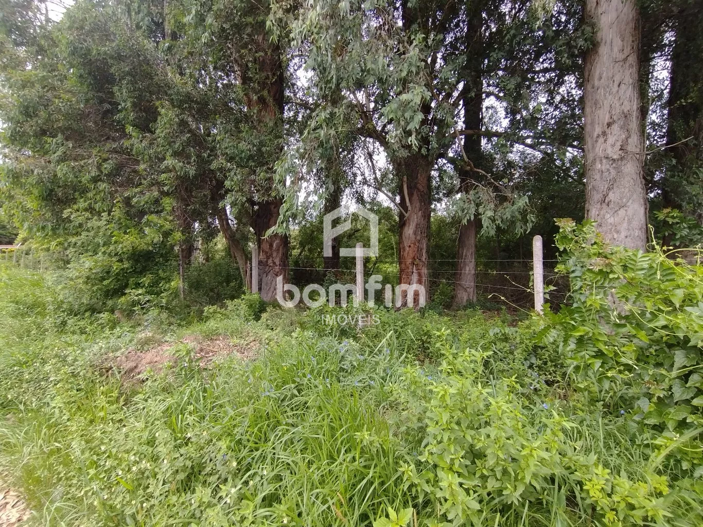 Terreno, 2500 m² - Foto 5