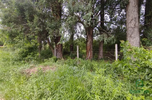 Terreno para aluguel, Ponta Grossa, Porto Alegre/RS.