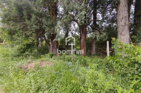 Terreno para aluguel, Ponta Grossa, Porto Alegre/RS. - Foto 5