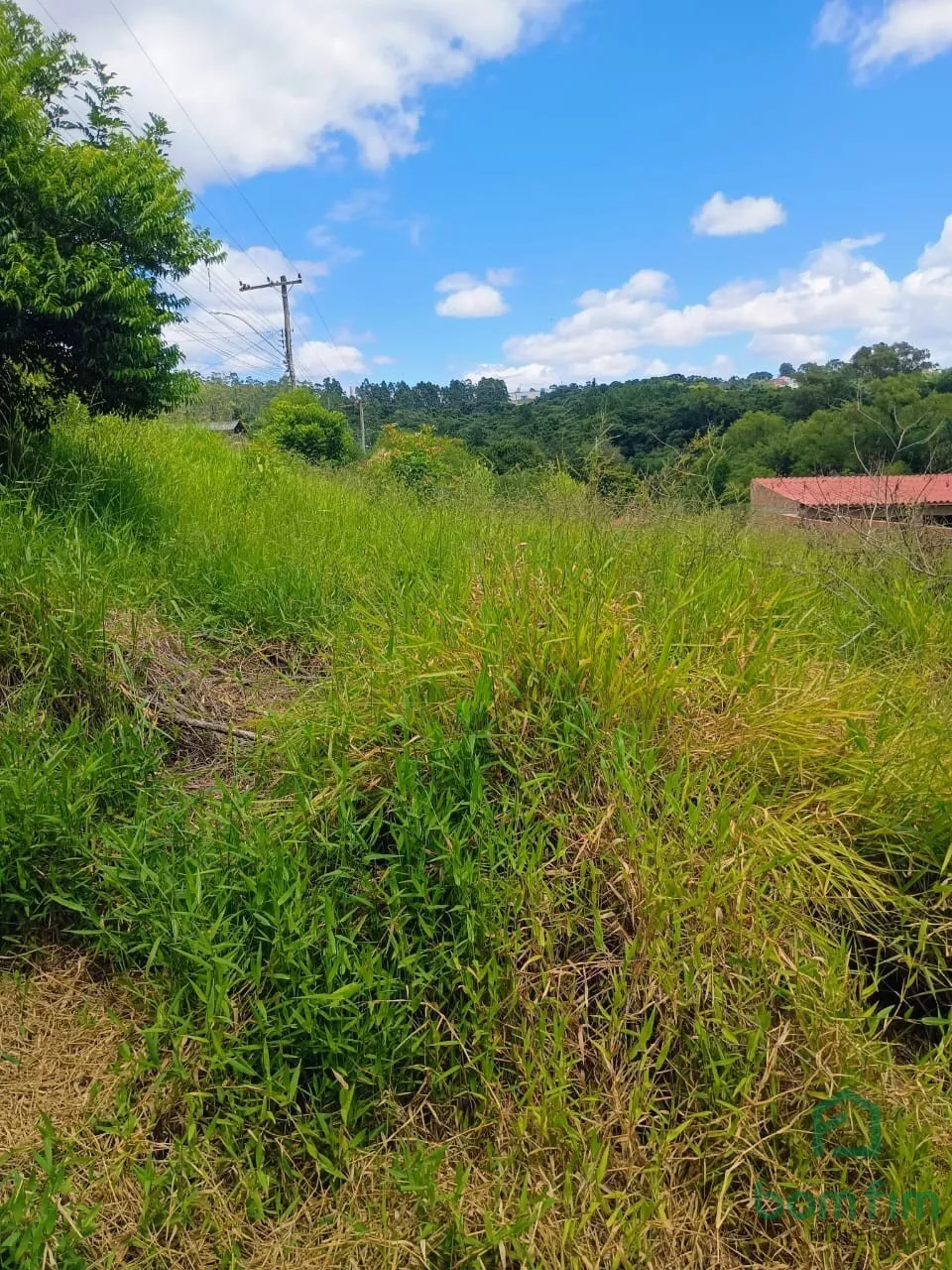 Terreno à venda, 6300m² - Foto 11