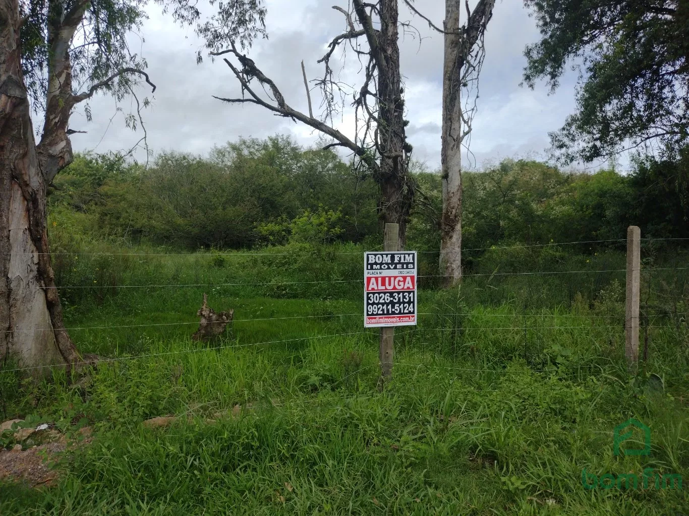 Terreno para alugar, 2500m² - Foto 1