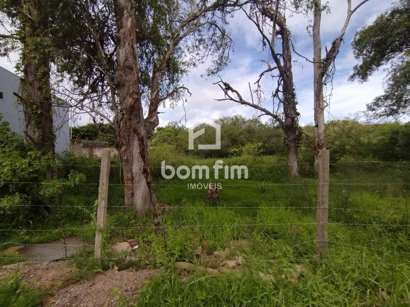 Terreno, 2500 m² - Foto 13