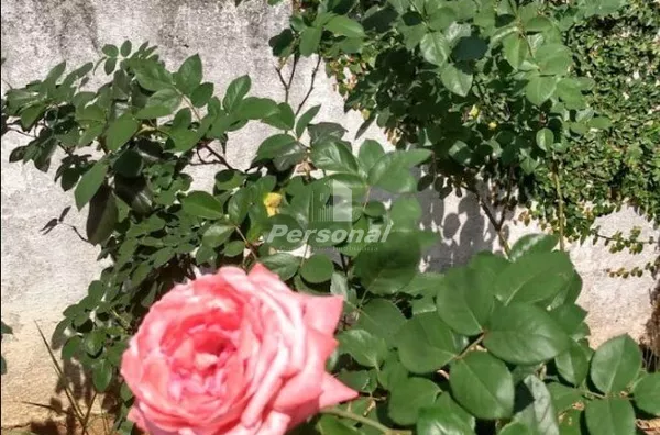 Chácara de 3 alqueires para venda, São Luiz Do Paraitinga - Foto 7