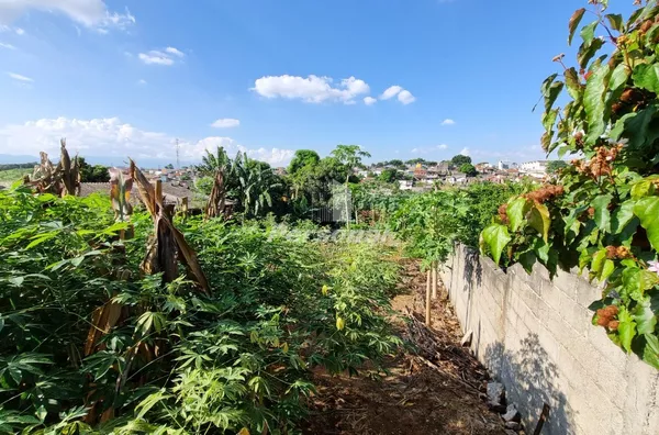 Terreno para venda,  São Gonçalo, Taubaté - Foto 2