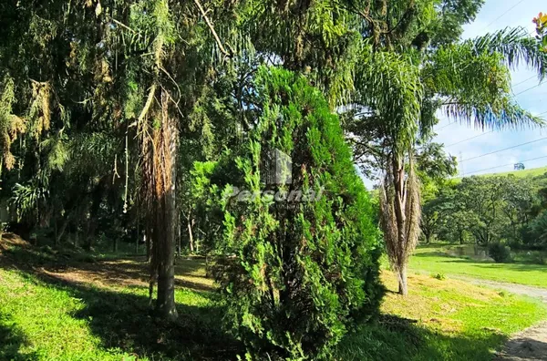 Chácara para aluguel e venda, 5 quarto(s), São Gonçalo, Taubaté - Foto 13
