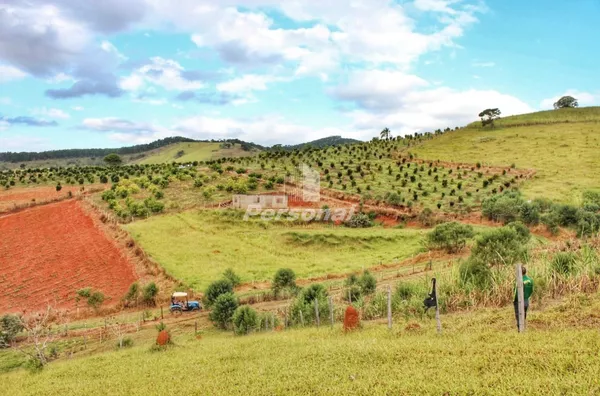 Sítio para venda, Ribeirão Das Almas, Taubaté - Foto 1