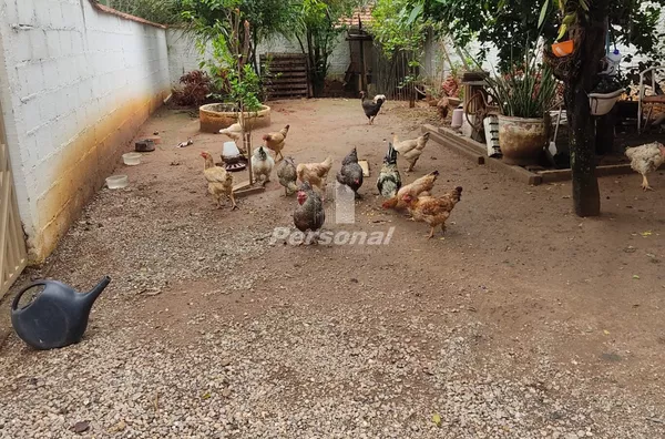 Chácara para venda, 2 quarto(s), Jardim Paulista, Taubaté - Foto 3
