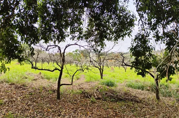 Área para venda com fácil acesso a Via Dutra, Taubaté