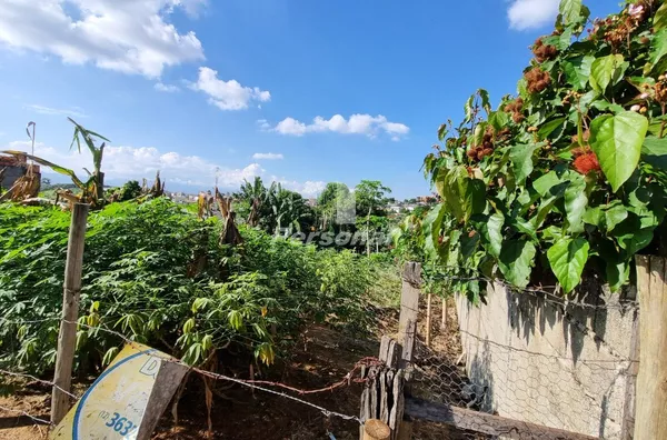 Terreno para venda,  São Gonçalo, Taubaté - Foto 6
