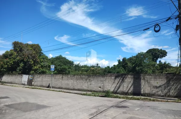 Chácara de 3 mil m² para venda,  Vila Areão, Taubaté - Foto 2