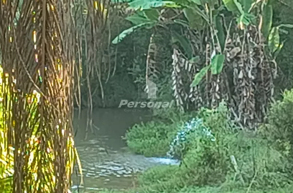 Chácara para aluguel e venda, 5 quarto(s), São Gonçalo, Taubaté - Foto 15