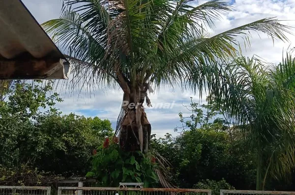 Casa para venda,  Chácara Canaã, Tremembé - Foto 3