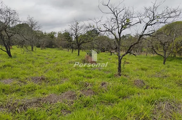 Área para venda com fácil acesso a Via Dutra, Taubaté