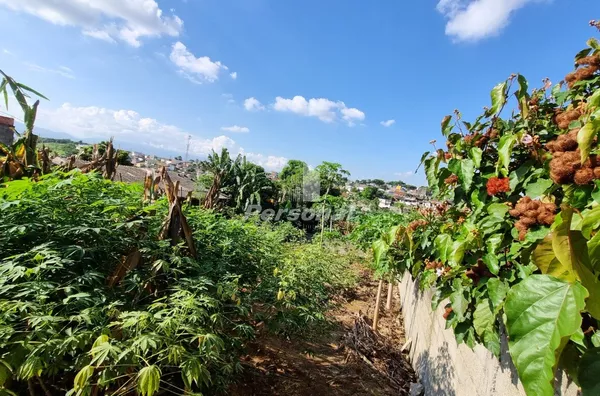 Terreno para venda,  São Gonçalo, Taubaté - Foto 3