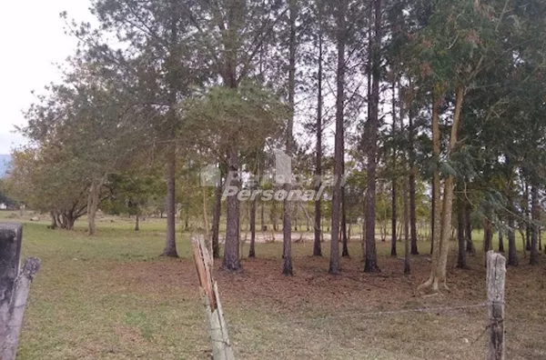 Área à venda, 40000 m² por R$ 1.600.000,00 - Vale Do Sol - Tremembé/SP