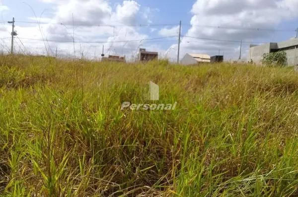 Terreno  Comercial Quintas do Santa Cruz do Areao - Foto 1
