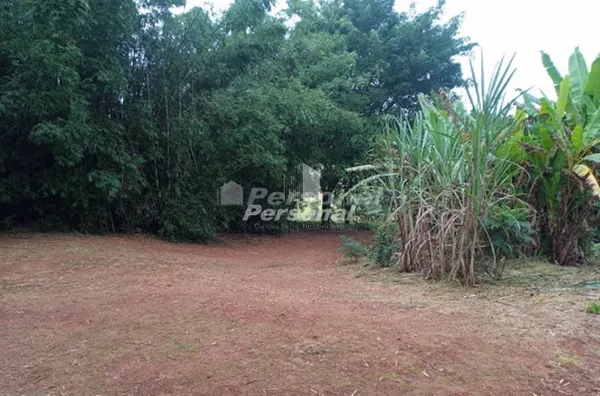 Sítio com 3 dormitórios à venda, 60 m² por R$ 1.200.000,00 - São Gonçalo - Taubaté/SP - Foto 5