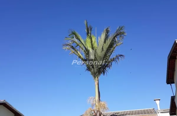 Casa com piscina no  Vale das Flores em Tremembé - Foto 5