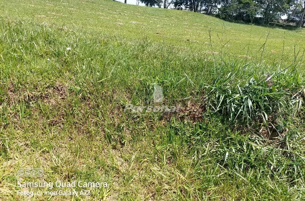 Terreno para venda, Reserva Altos do Cataguá, Taubaté - Foto 3
