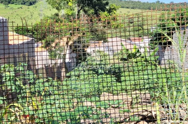 Terreno para venda,  Residencial Estoril, Taubaté - Foto 4