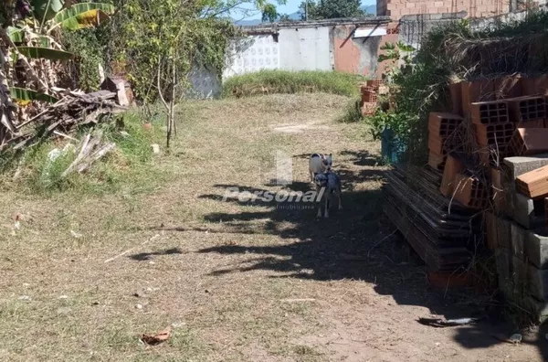 Terreno para venda,  Loteamento Residencial Flor Do Campo, Tremembé - Foto 6