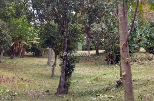 Terreno para venda, 3 quarto(s),  , São Bento Do Sapucaí