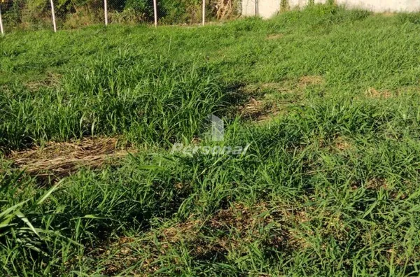 Terreno em condomínio fechado para para venda,  Recanto Tropical, Taubaté - Foto 6