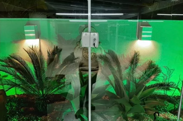 Apartamento para venda 3 quarto(s) vila firmiano pinto são paulo