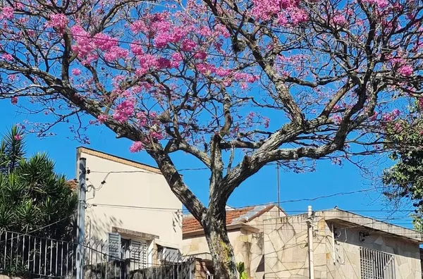 Casa para venda, Vila São José (ipiranga), São Paulo - Foto 1