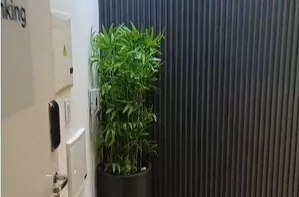 Sala Comercial para aluguel Vila Mariana São Paulo