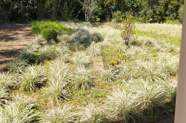 Chácara com 2 dormitórios à venda, 6600 m² por R$ 370.000,00 - Colônia (Zona Sul) - São Paulo/SP