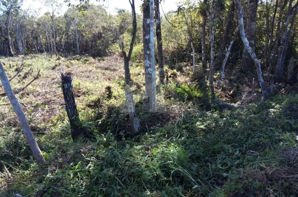 Terreno com 364m² para venda em Peruíbe - SP