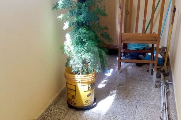 Casa para renda, 3 casas de aluguel, 125m2 por R$300.000, - Parque Residencial Dos Lagos, São Paulo/SP