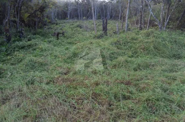 Terreno com 364m² para venda em Peruíbe - SP