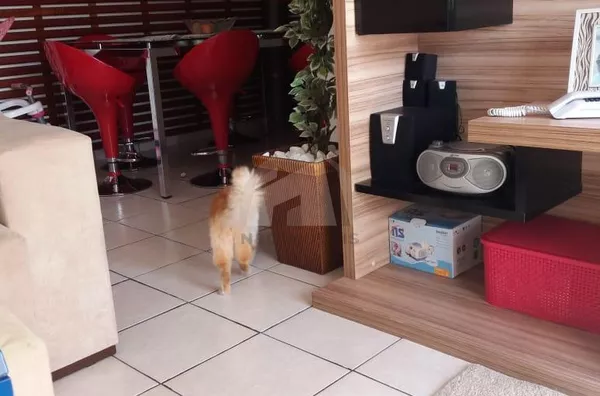 Apartamento com 2 dormitórios à venda, 55 m² por R$ 255.000,00 - Conjunto Residencial Ingai - São Paulo/SP