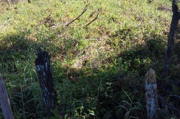 Terreno com 364m² para venda em Peruíbe - SP