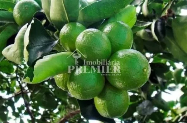 Cód.;SI2685- Sítio 44.000M²- VICINAL CEDRAL/ GUAPIAÇU-/SP