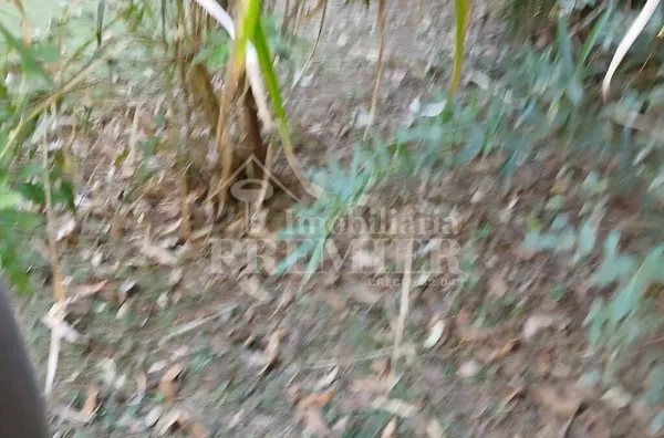 CH3734 - Chácara para venda,  Estância Navarret (zona Rural), São José Do Rio Preto