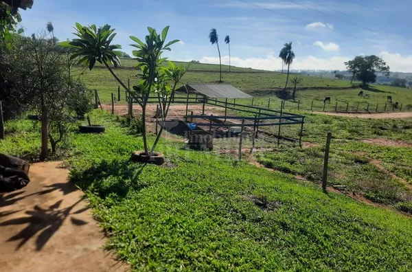 SI3610 - Sítio para venda, 1,25 alqueires -Zona Rural- Tanabi/SP.