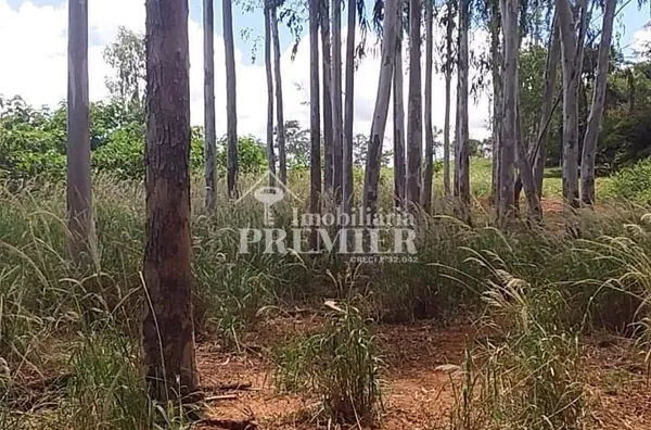 Cód.;SI3400 - Sítio - 15 hectares  - Neves Paulistal/SP