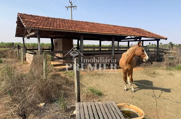 Cód.;SI2626 Sitio - 8,11 alqueires -  Penápolis/SP
