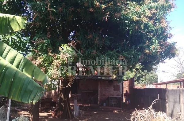 CH3747 - Chácara para venda,  Estância São Judas Tadeu (zona Rural), São José Do Rio Preto