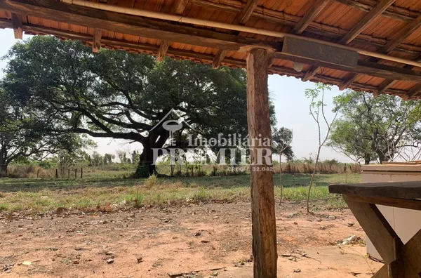 Cód.;SI2626 Sitio - 8,11 alqueires -  Penápolis/SP