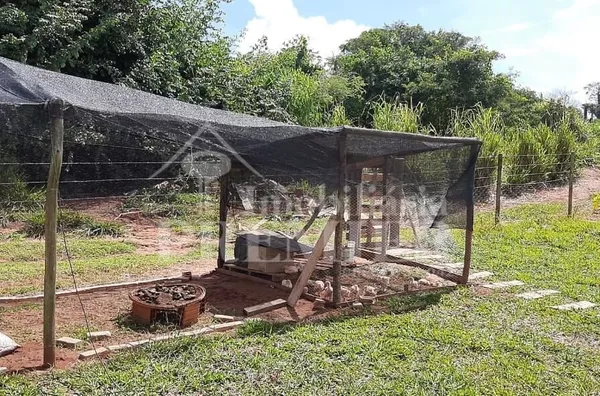 SI3610 - Sítio para venda, 1,25 alqueires -Zona Rural- Tanabi/SP.