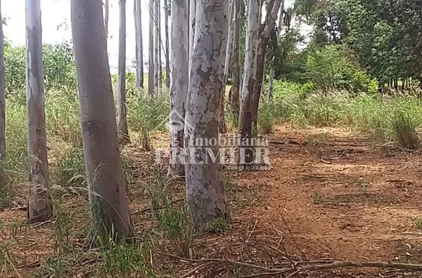 Cód.;SI3400 - Sítio - 15 hectares  - Neves Paulistal/SP