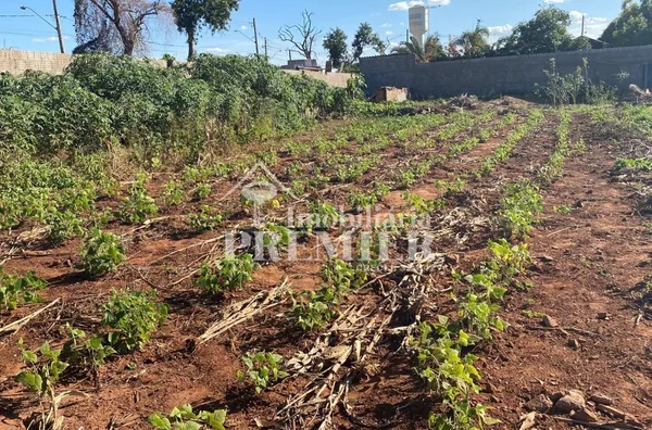 Cód.:CH2879 -1000m² - Talhado- São José do Rio Preto/SP