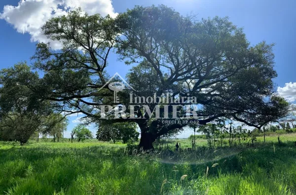 Cód.;SI2626 Sitio - 8,11 alqueires -  Penápolis/SP