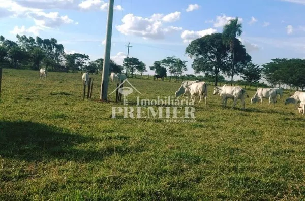 Cód.;SI3425 - Sítio - 5,75 hectares - Neves Paulista/SP