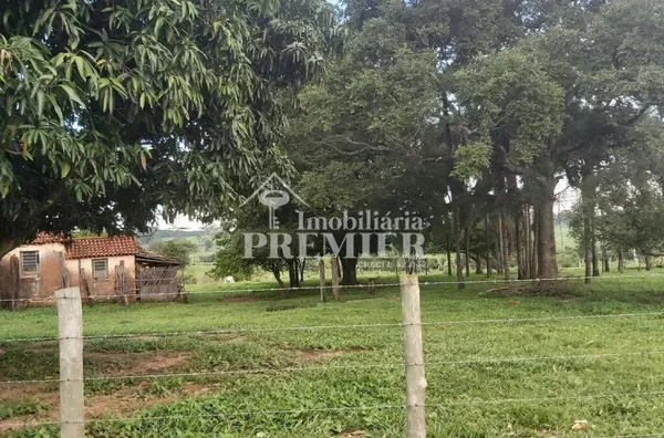 Cód.;SI3425 - Sítio - 5,75 hectares - Neves Paulista/SP