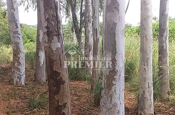 Cód.;SI3400 - Sítio - 15 hectares  - Neves Paulistal/SP